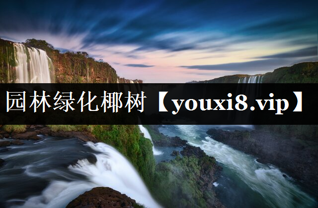 园林绿化椰树