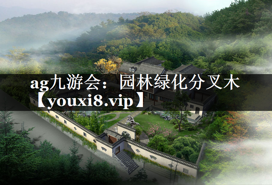 园林绿化分叉木