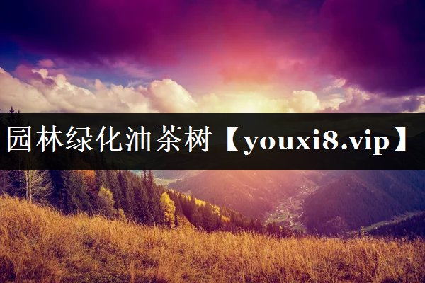 园林绿化油茶树