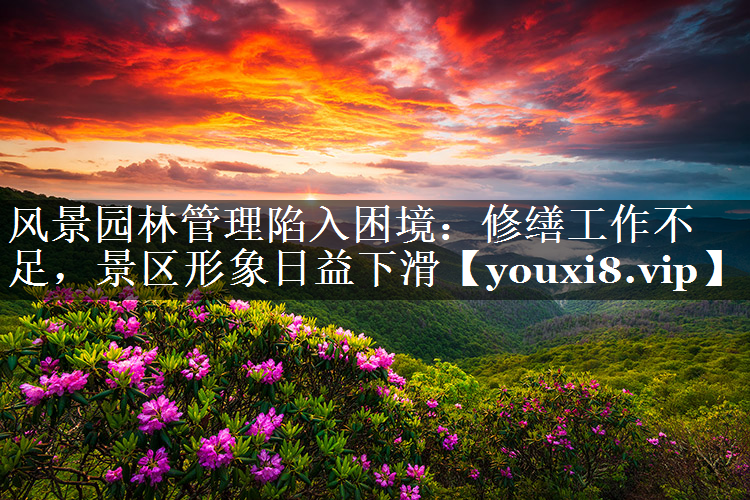 风景园林管理陷入困境：修缮工作不足，景区形象日益下滑