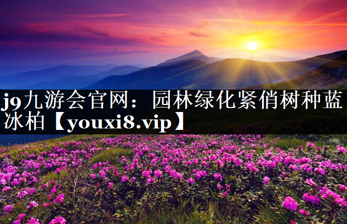 园林绿化紧俏树种蓝冰柏