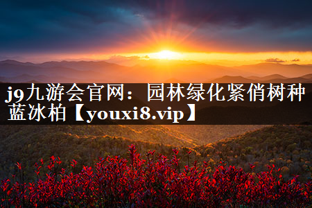 园林绿化紧俏树种蓝冰柏
