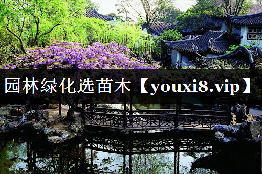 园林绿化选苗木